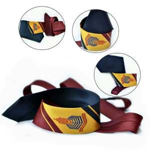 Punjab group of colleges - Tie