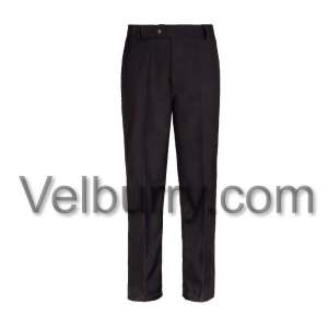 The ACE School System - Wasit Pent